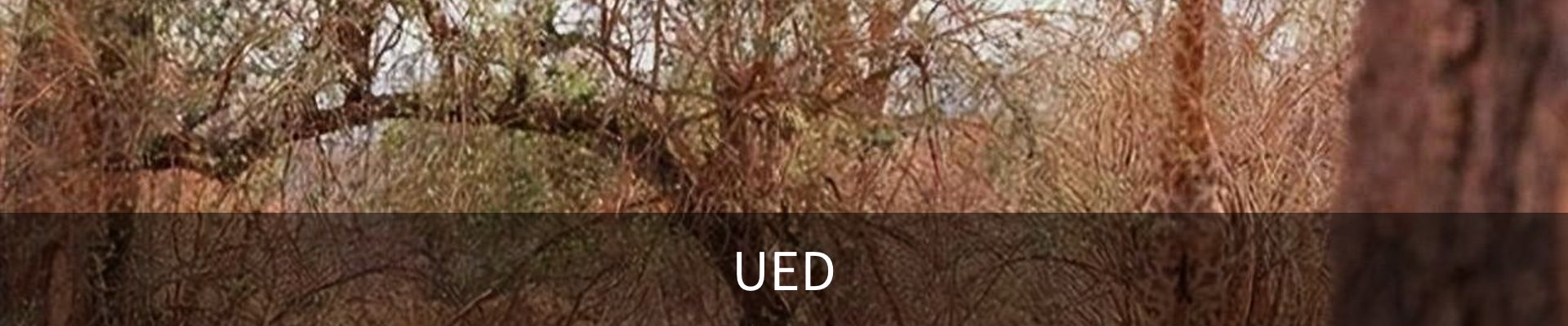 UED·中国)唯一官网